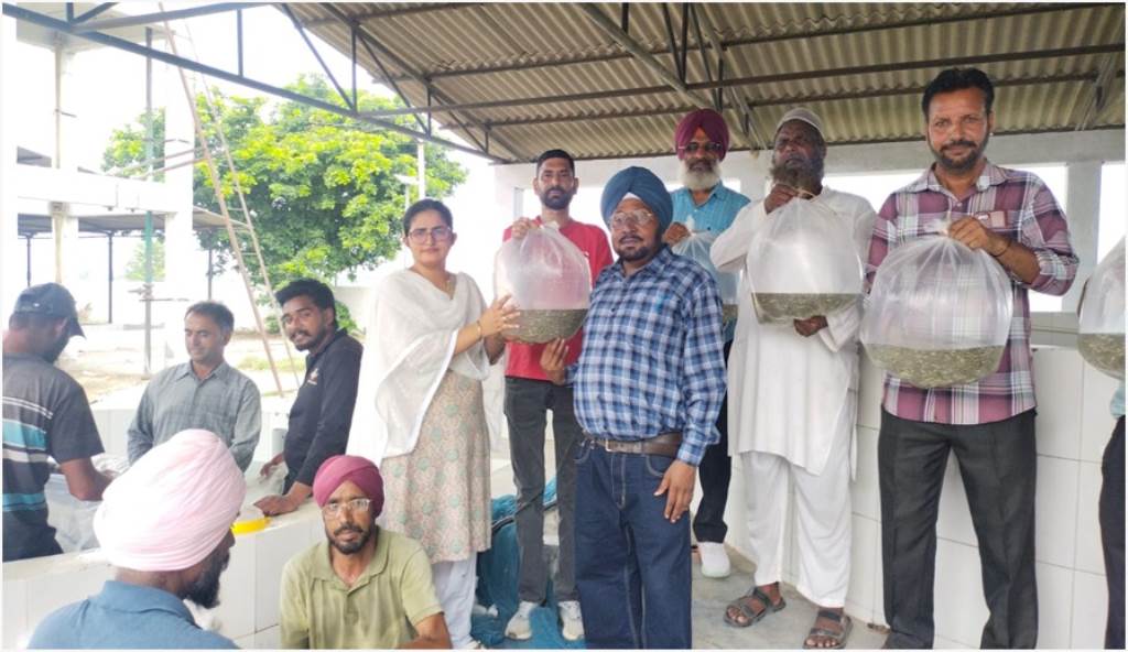 Fish seeds provided to 10 fish farmers under Atma scheme